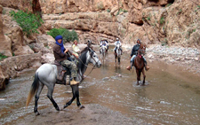 Morocco-Morocco-Splendor of Marakesh